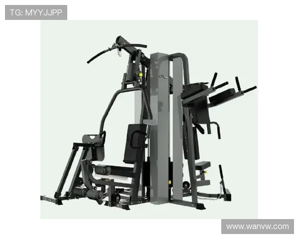 美国健身器材的特点与选购指南：为何美国的健身器材在全球市场中占据领先地位？