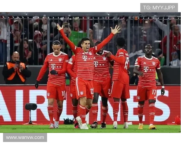 德甲杯赛参与球队名单与赛制分析