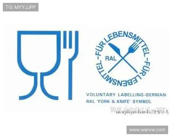 德甲球队队员伙食标准及训练营饮食管理全揭秘