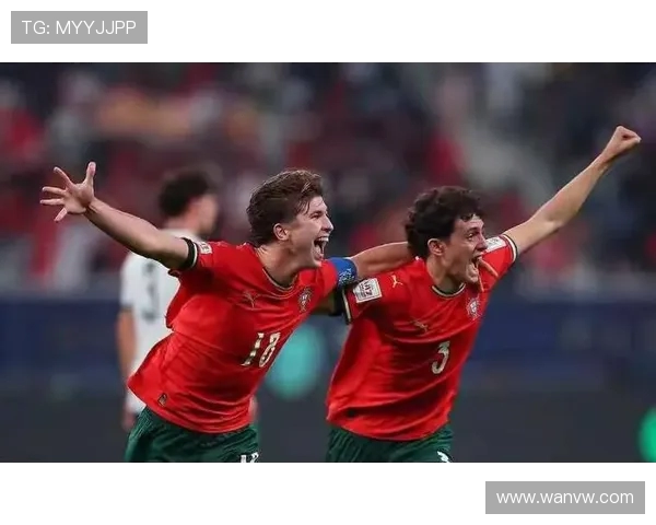 纵览奥地利国家队世界杯征程与辉煌历史篇章风云岁月与传奇瞬间回顾